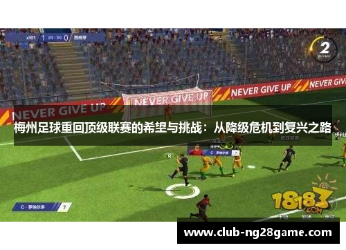 梅州足球重回顶级联赛的希望与挑战：从降级危机到复兴之路