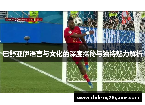 巴舒亚伊语言与文化的深度探秘与独特魅力解析